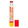 BRILLO LABIAL BURT'S BEES CHERRY 2.6G