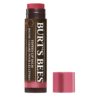 BALSAMO BURT'S BEES TINTED HIBISCUS 4.25 G